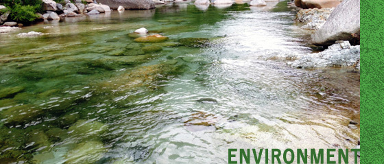 ENVIRONMENT